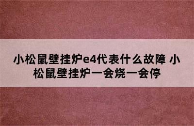 小松鼠壁挂炉e4代表什么故障 小松鼠壁挂炉一会烧一会停